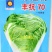 白菜种子丰抗70大白菜秋季冬黄心白菜种籽正宗口感好耐寒蔬