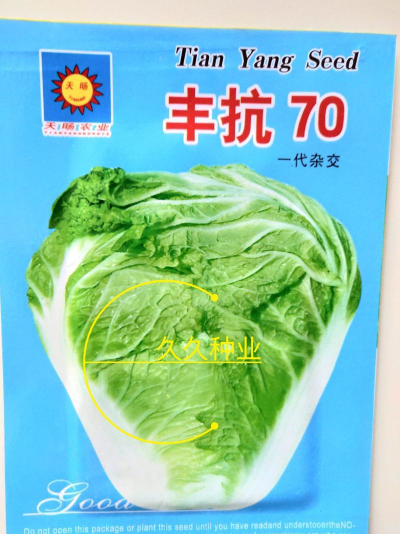 白菜种子丰抗70大白菜秋季冬黄心白菜种籽正宗口感好耐寒蔬