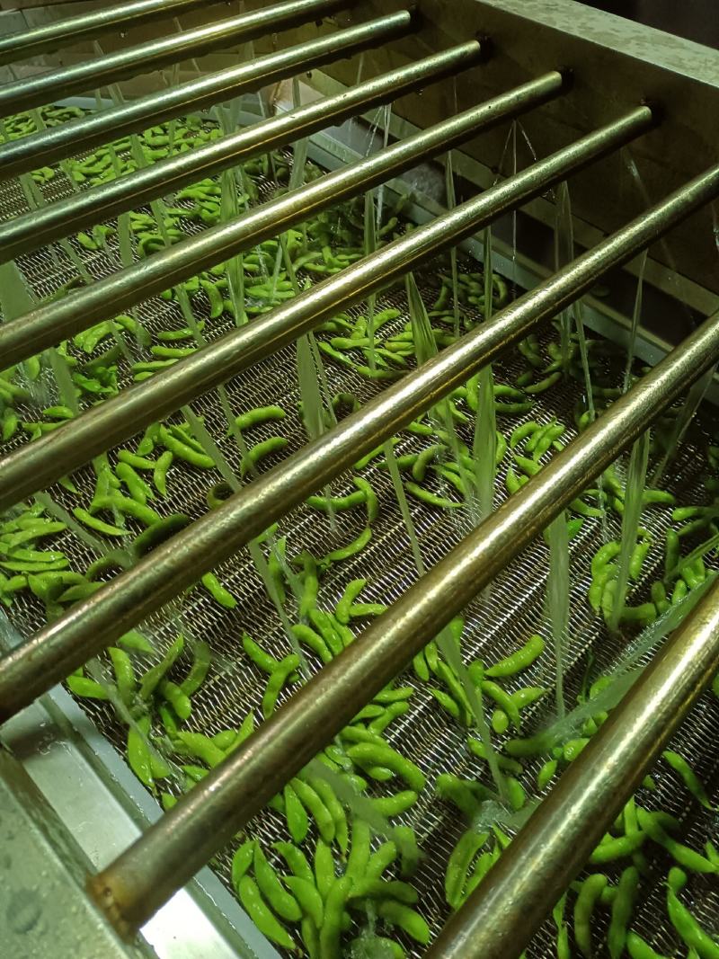 山东郯城开心绿毛豆大量上市中水洗入库一条龙