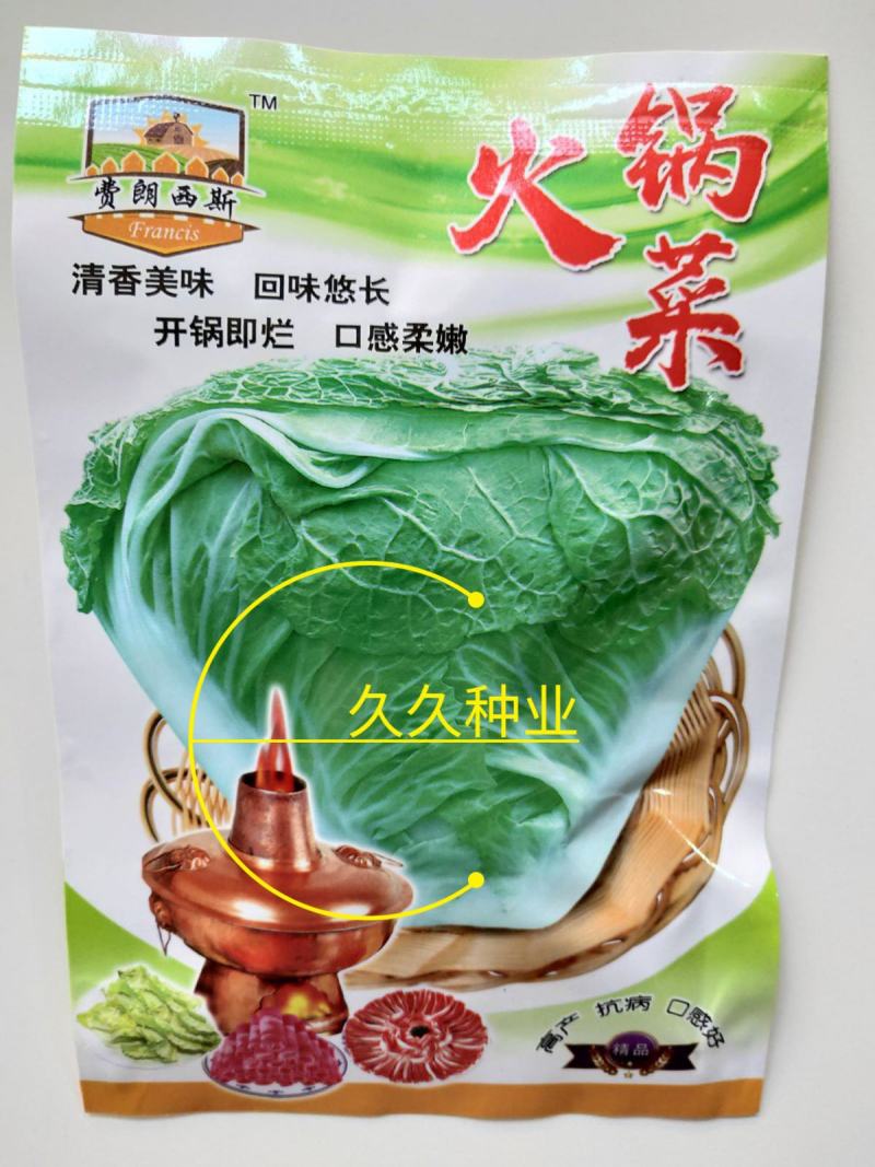 火锅白菜种子叶多无筋高产抗病秋季大田耐贮耐运麻叶大白菜蔬