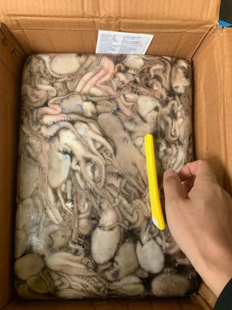 章鱼（八爪）