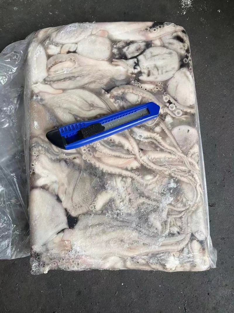 章鱼（八爪）