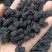 【桑葚干】河北水洗桑椹干药用桑葚干大量供应干净无沙
