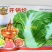山东大白菜种子中早熟68天开锅烂真好吃大白菜种籽抗病秋季