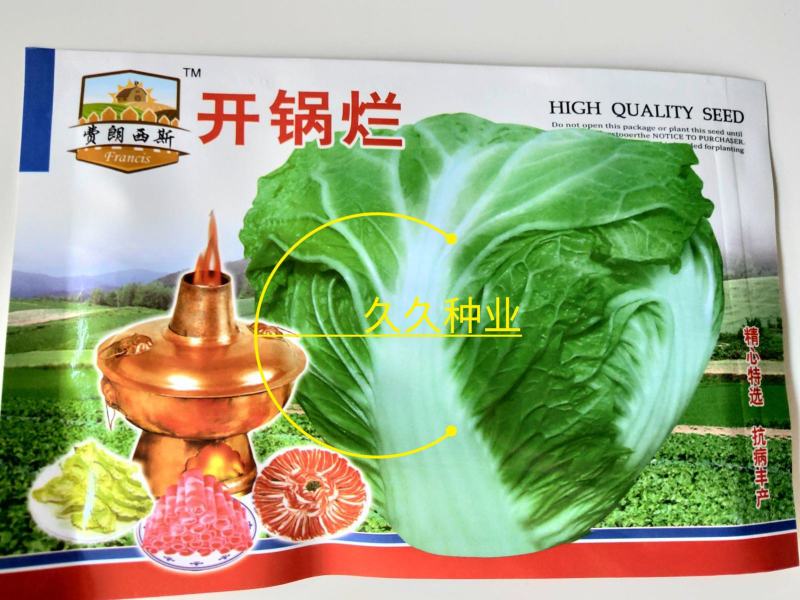 山东大白菜种子中早熟68天开锅烂真好吃大白菜种籽抗病秋季