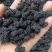 【桑葚干】河北水洗桑椹干药用桑葚干大量供应干净无沙