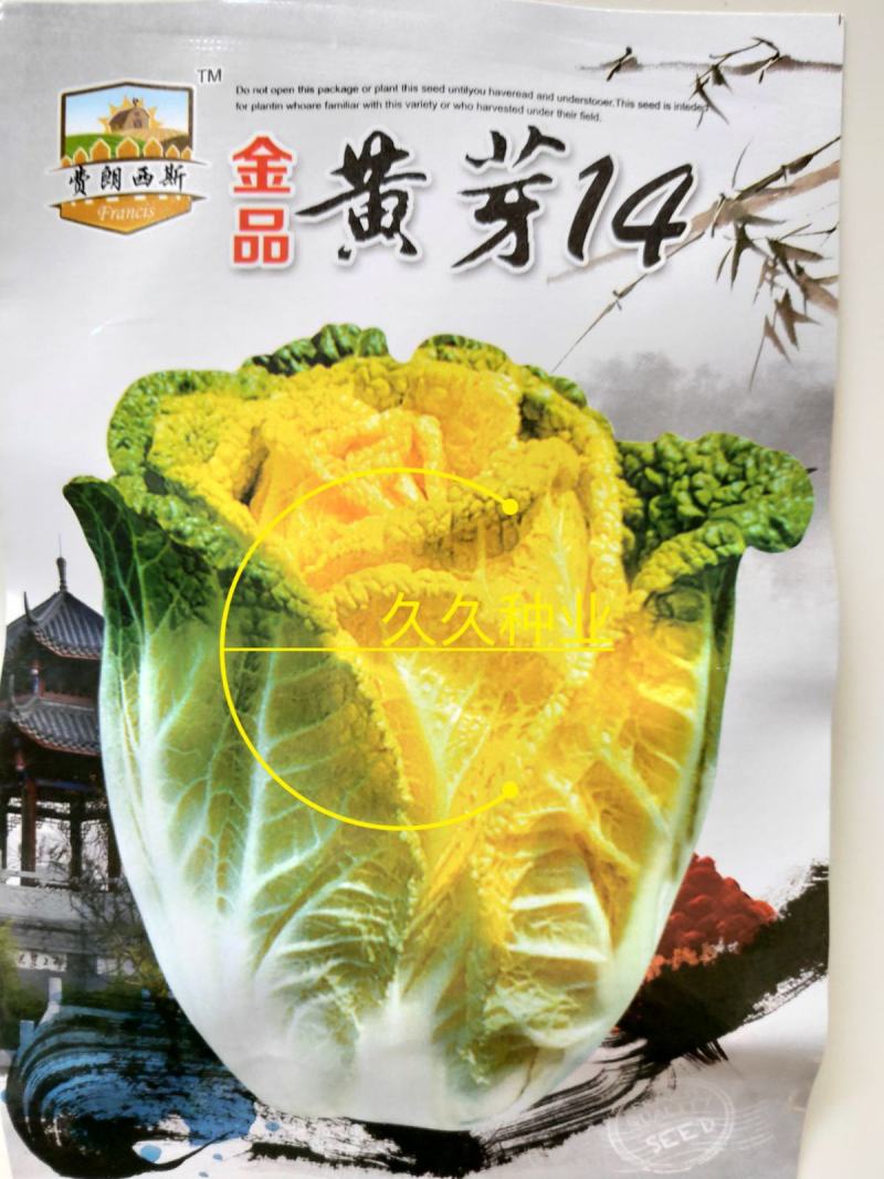 黄芽14白菜种子黄心大白菜春夏秋冬四季耐寒抗冻阳台大田