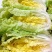 黄芽14白菜种子黄心大白菜春夏秋冬四季耐寒抗冻阳台大田