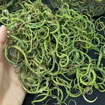 小叶化石草（肾精茶、猫须草）人工精选