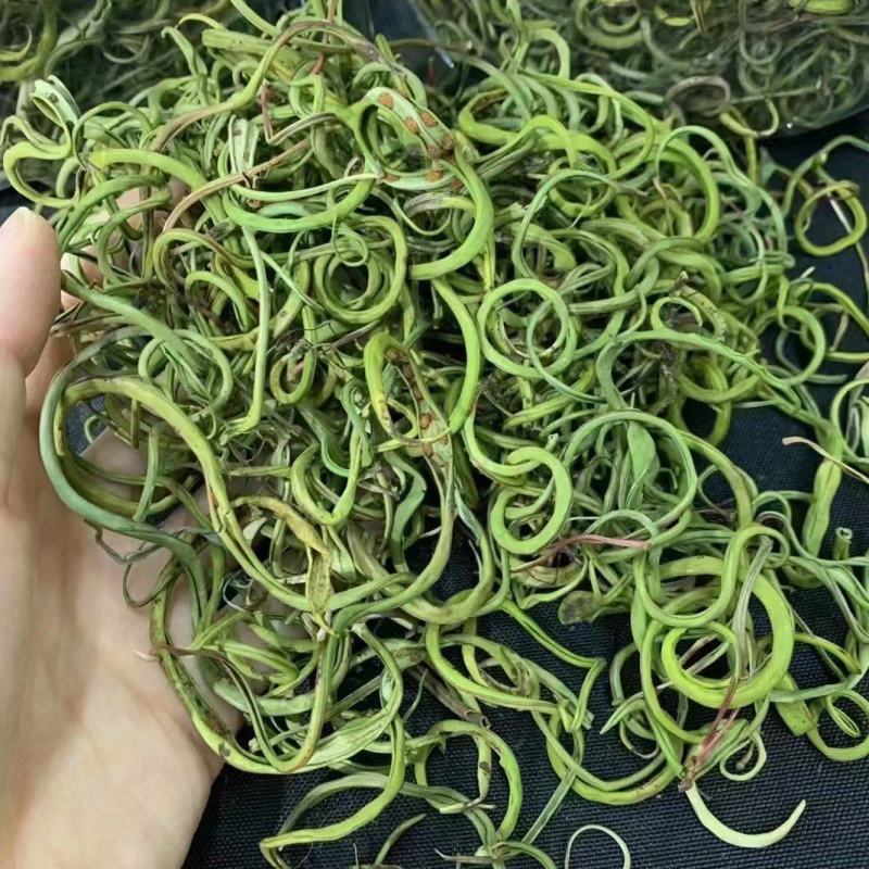 小叶化石草（肾精茶、猫须草）人工精选
