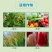 45%咪鲜胺蔬菜果树白粉病杀菌剂炭疽病赤霉病稻瘟病黑星病