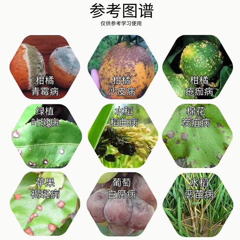 45%咪鲜胺蔬菜果树白粉病杀菌剂炭疽病赤霉病稻瘟病黑星病