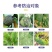45%咪鲜胺蔬菜果树白粉病杀菌剂炭疽病赤霉病稻瘟病黑星病