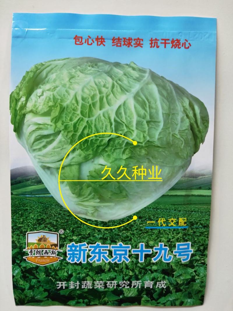 大白菜种子白菜籽蔬菜山东白菜种孑秋季王大白菜种籽秋季播种