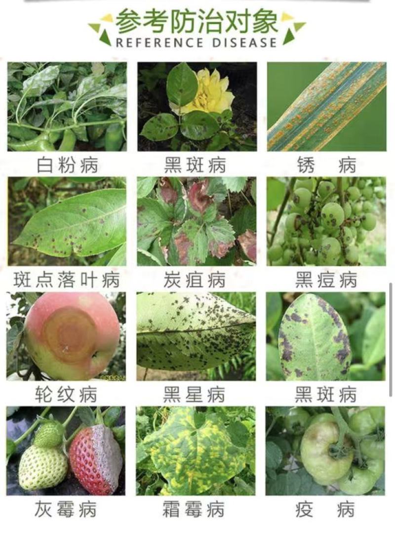 43%戊唑醇杀菌剂白粉病炭疽病黑星病叶斑病蔬菜果树褐斑病