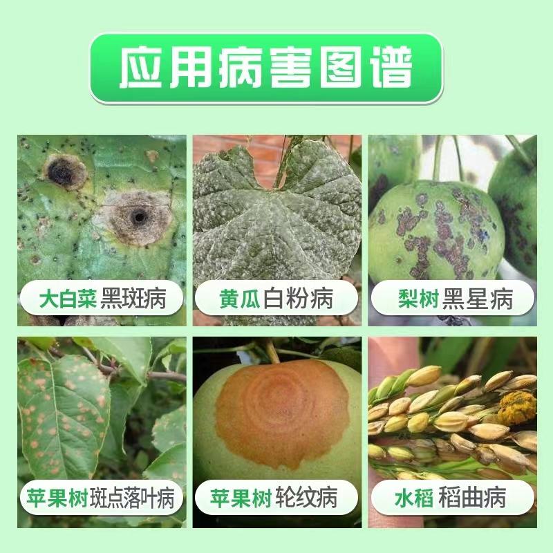 43%戊唑醇杀菌剂白粉病炭疽病黑星病叶斑病蔬菜果树褐斑病