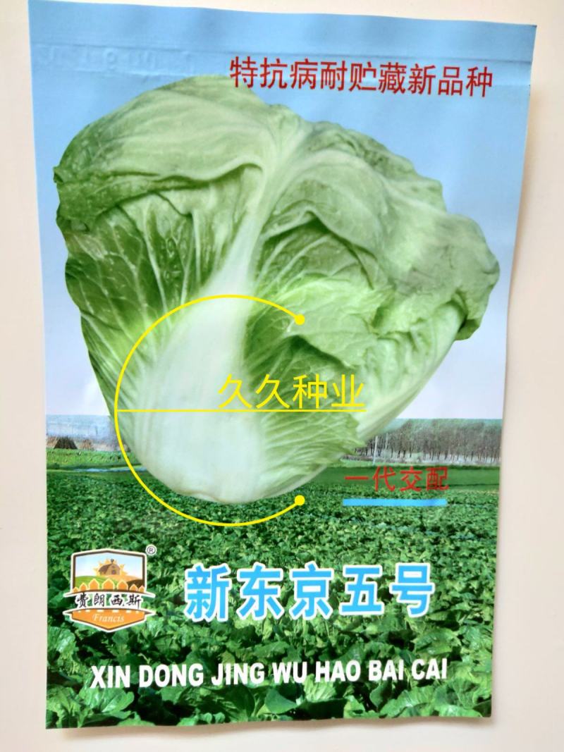 白菜种子小白菜籽四季小白菜种籽苗春秋冬季青蔬菜菜种籽