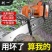 美国电锯家用小型手持锯柴锂电锯充电式电锯户外伐木锯树神器