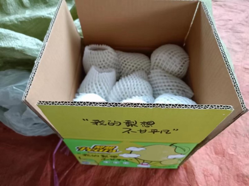 马上大量上市，欢迎各位老板电商来袭