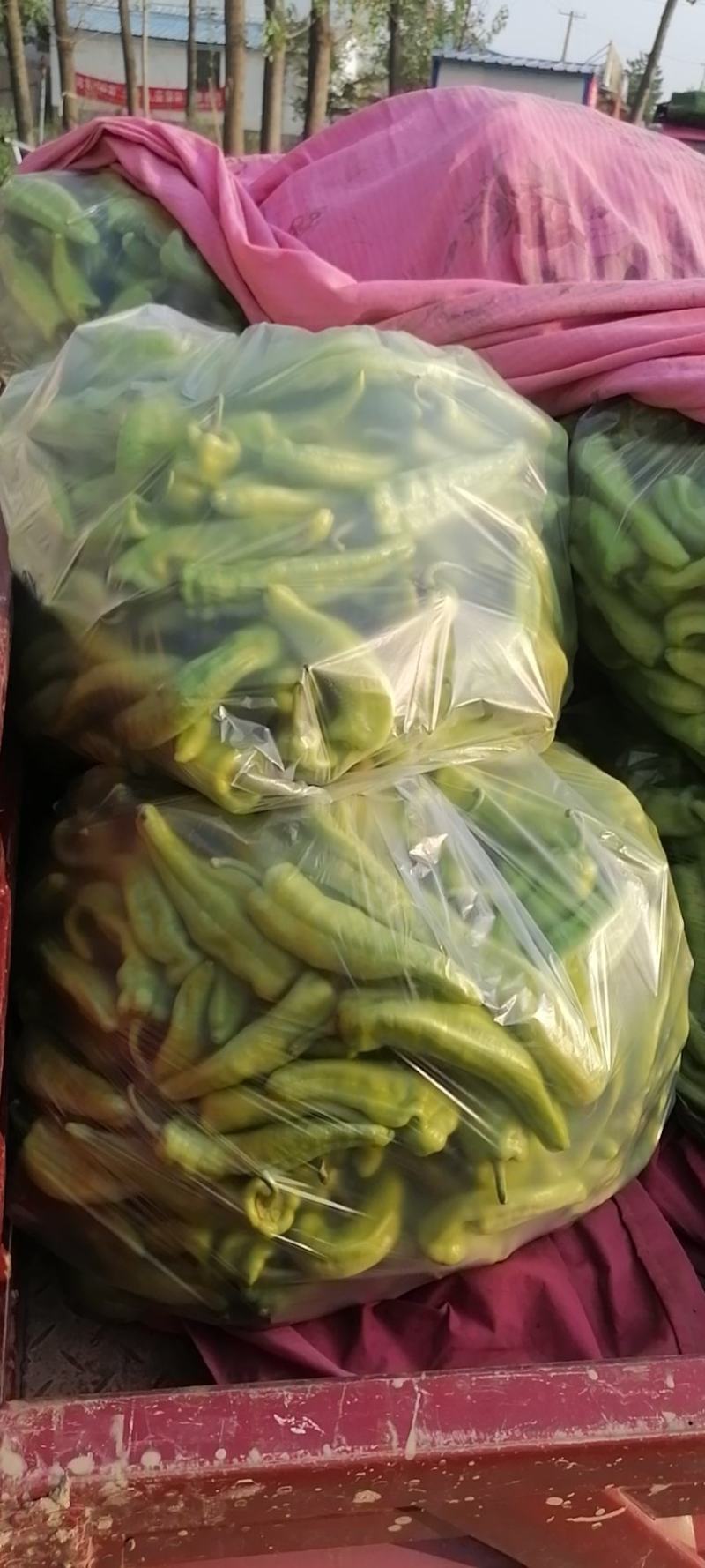 东昊运花糯米，白糯，水果玉来，