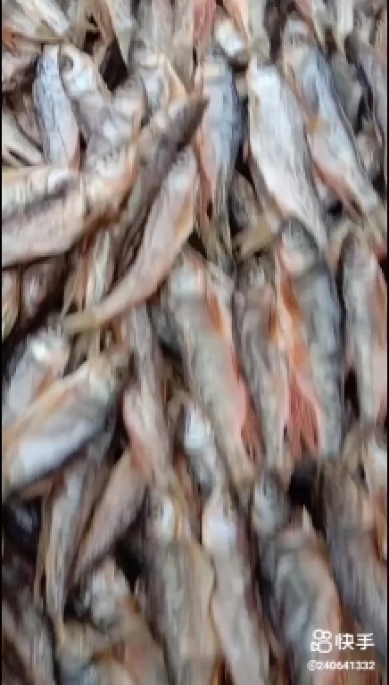 马口桃花鱼大大嘴马口小吸嘴