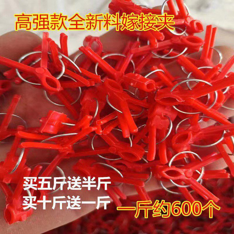 嫁接夹黄瓜辣椒西瓜蔬菜嫁接夹子圆口平口嫁接专用新款嫁接夹
