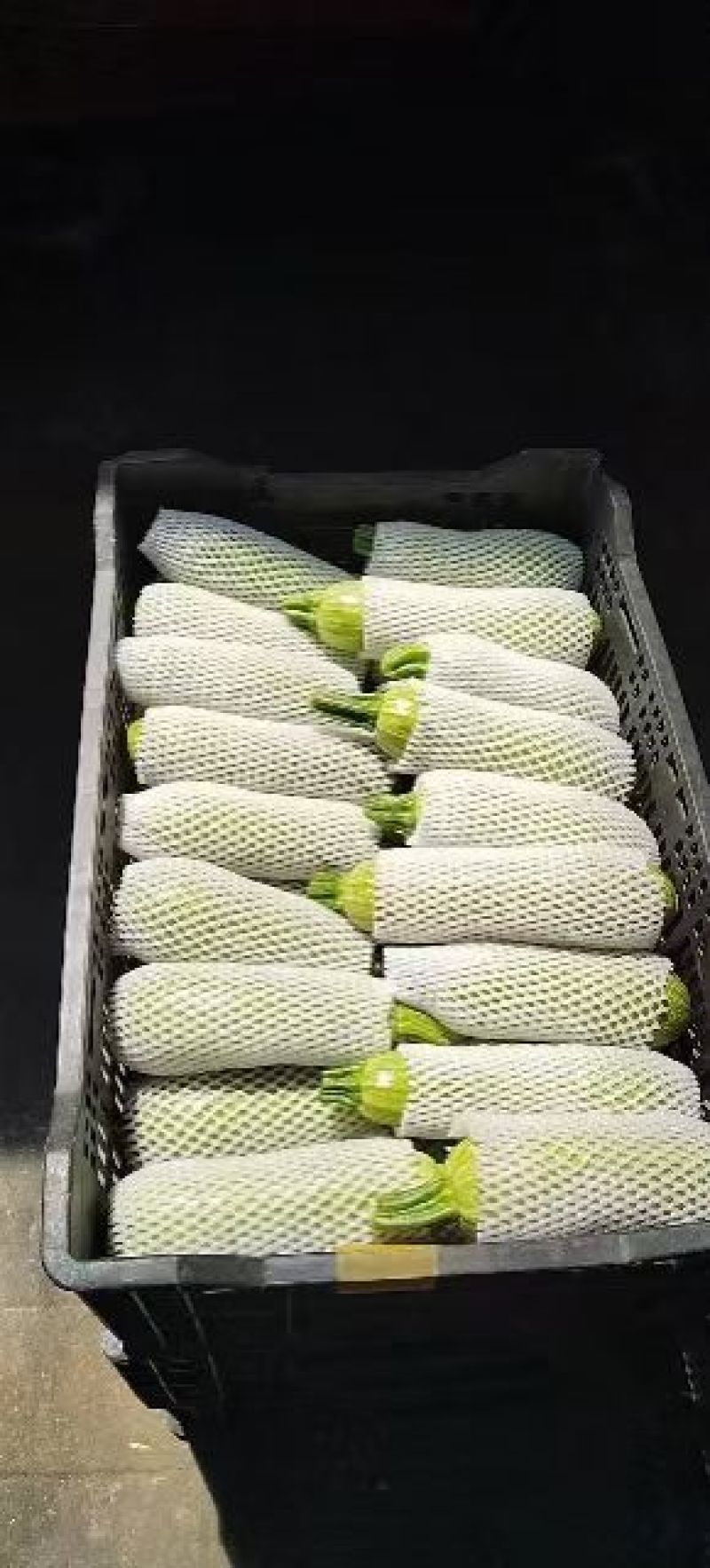 西葫芦