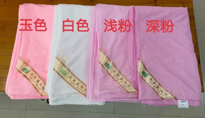 加密压花蚕丝被内胆套胎套柔软舒适不钻丝棉絮被内被套褥子套