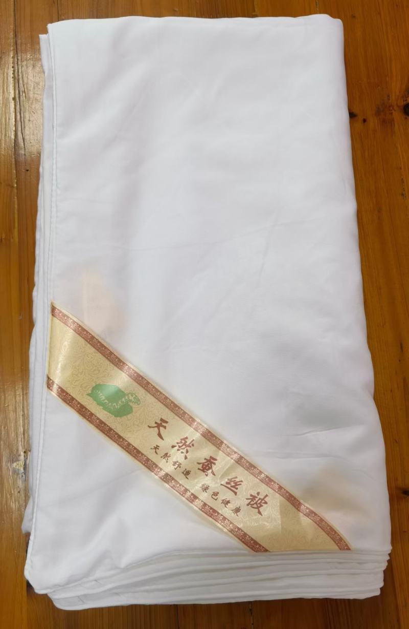 加密压花蚕丝被内胆套胎套柔软舒适不钻丝棉絮被内被套褥子套