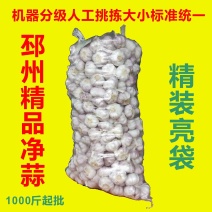 邳州净蒜，精加工分级蒜货源充足，零担物流100斤起发