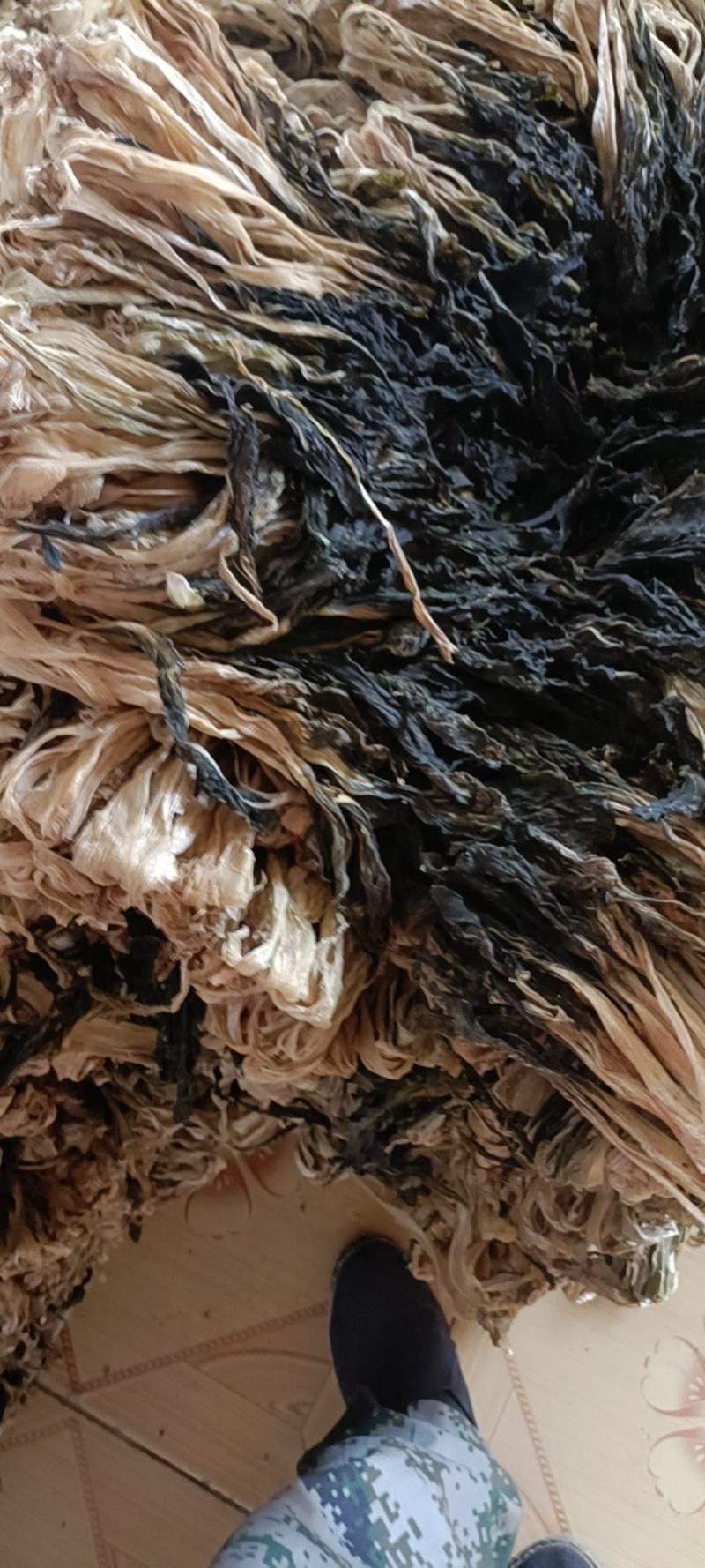 脱水白菜