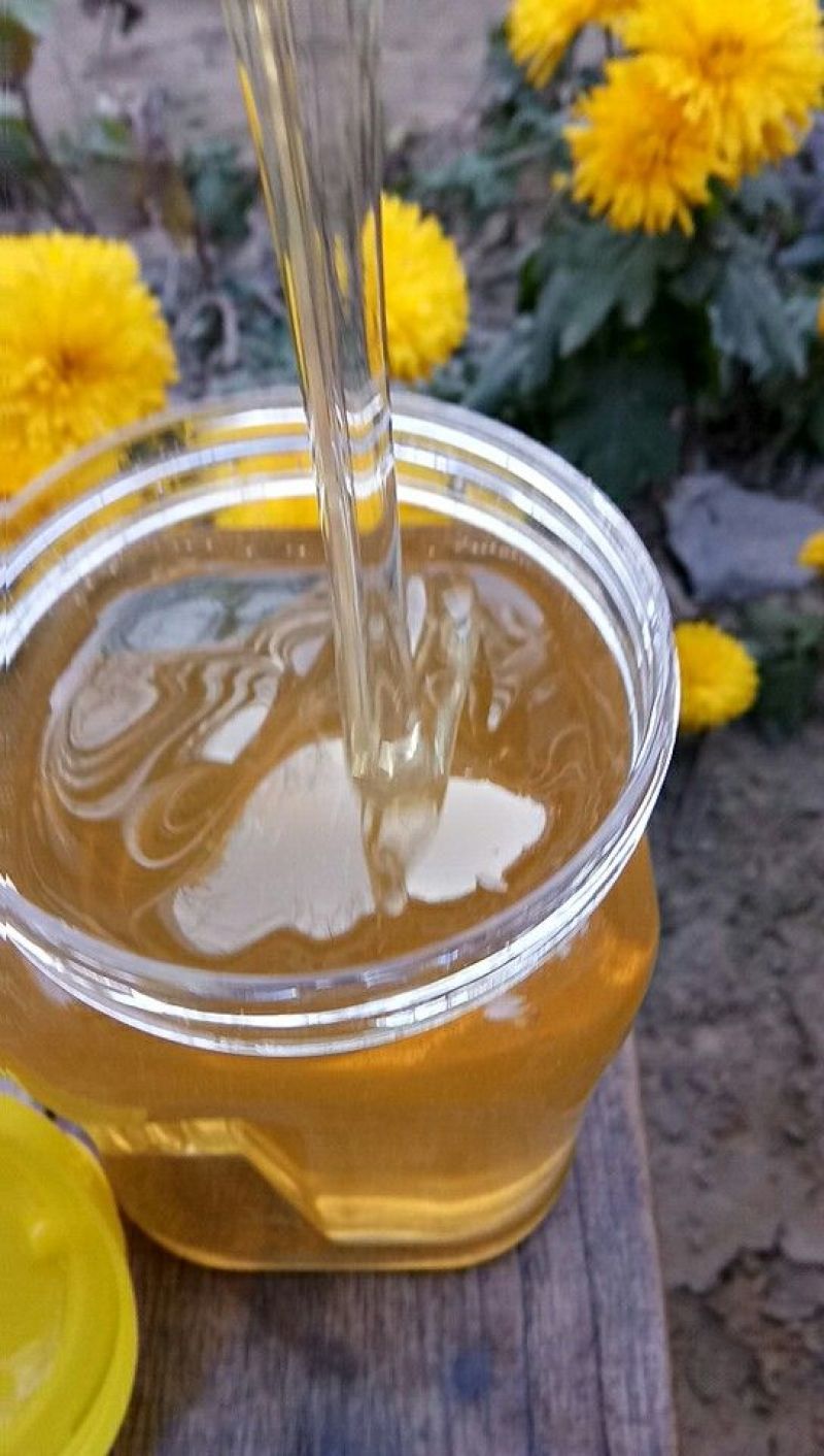 冬蜜枇杷蜜蜂场直供
