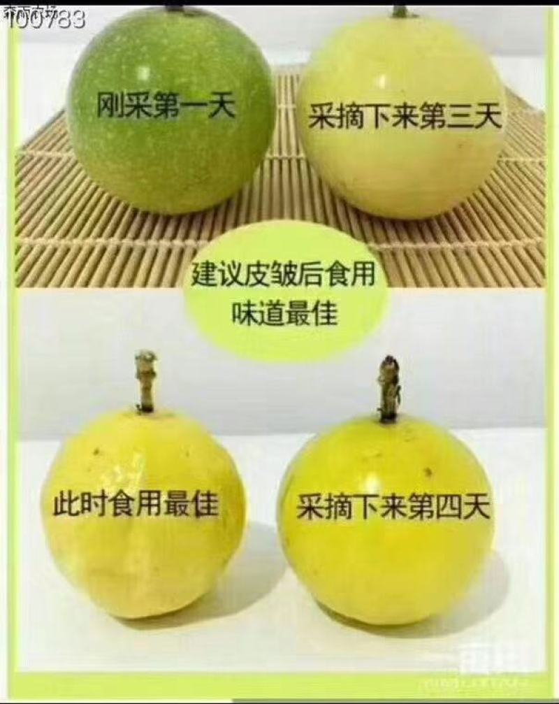 广西高山黄金百香，黄金钦蜜九号，芭乐黄金百香果
