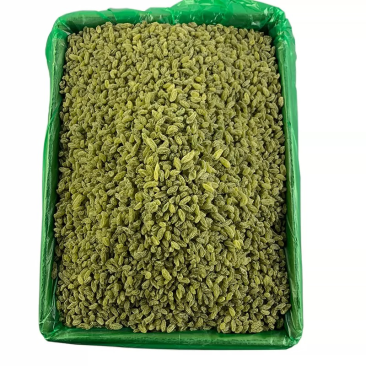 新疆葡萄干电商专用食品加工沧州发货一手货源保证质量