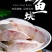 冰鲜鱼身子#现货#品质保证#活鱼加工