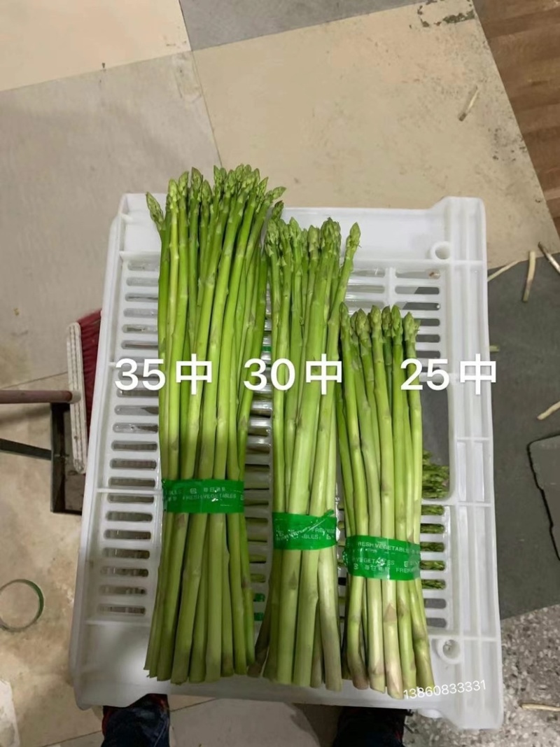 福建绿芦笋现采现卖35公分30公分25公分特大大笋中笋