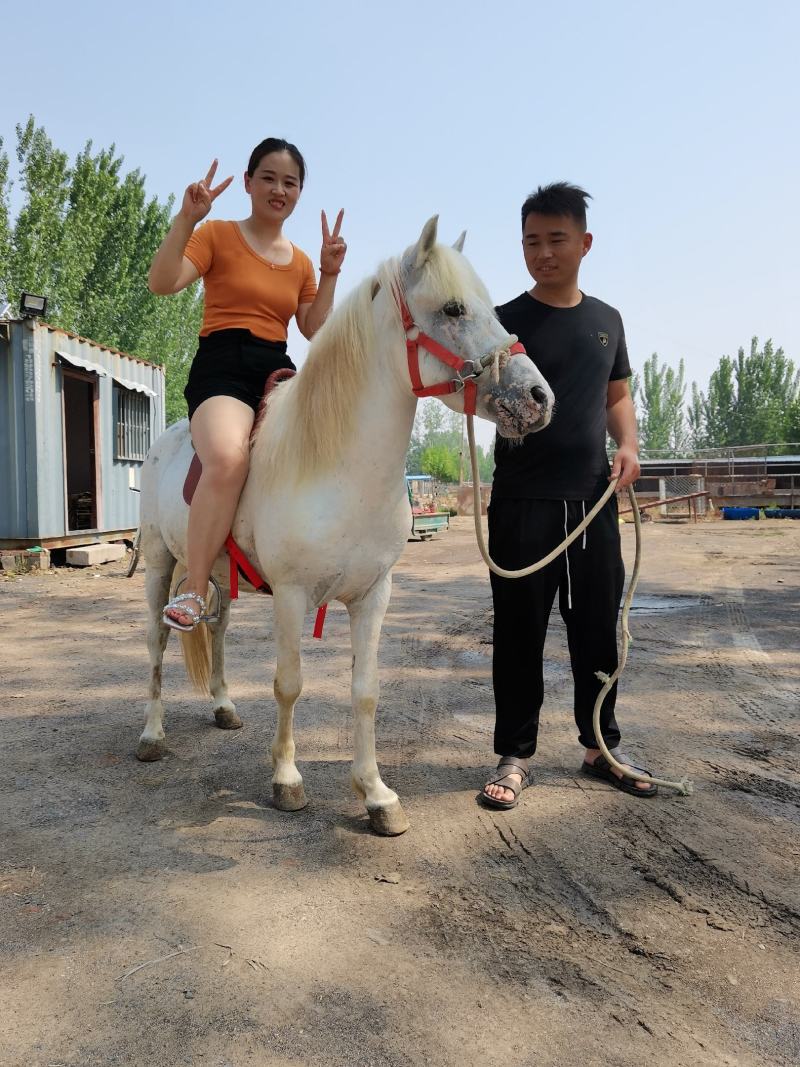 好不好看品质