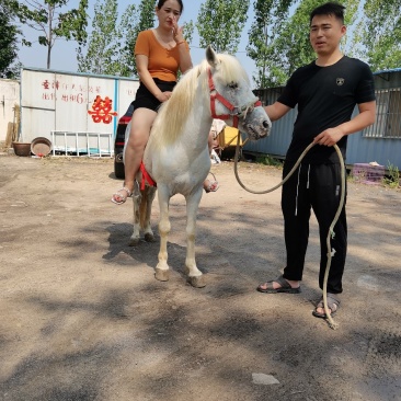 好不好看品质