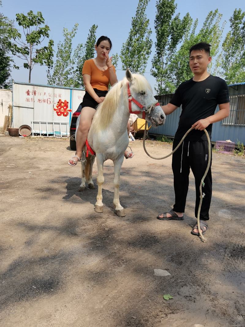 好不好看品质