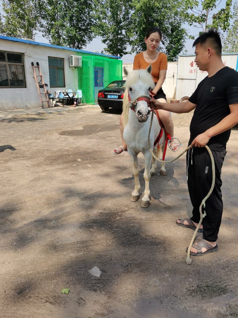 好不好看品质