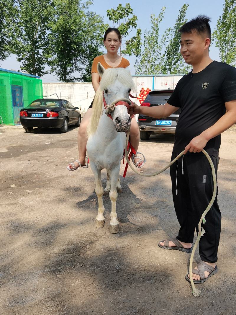 好不好看品质
