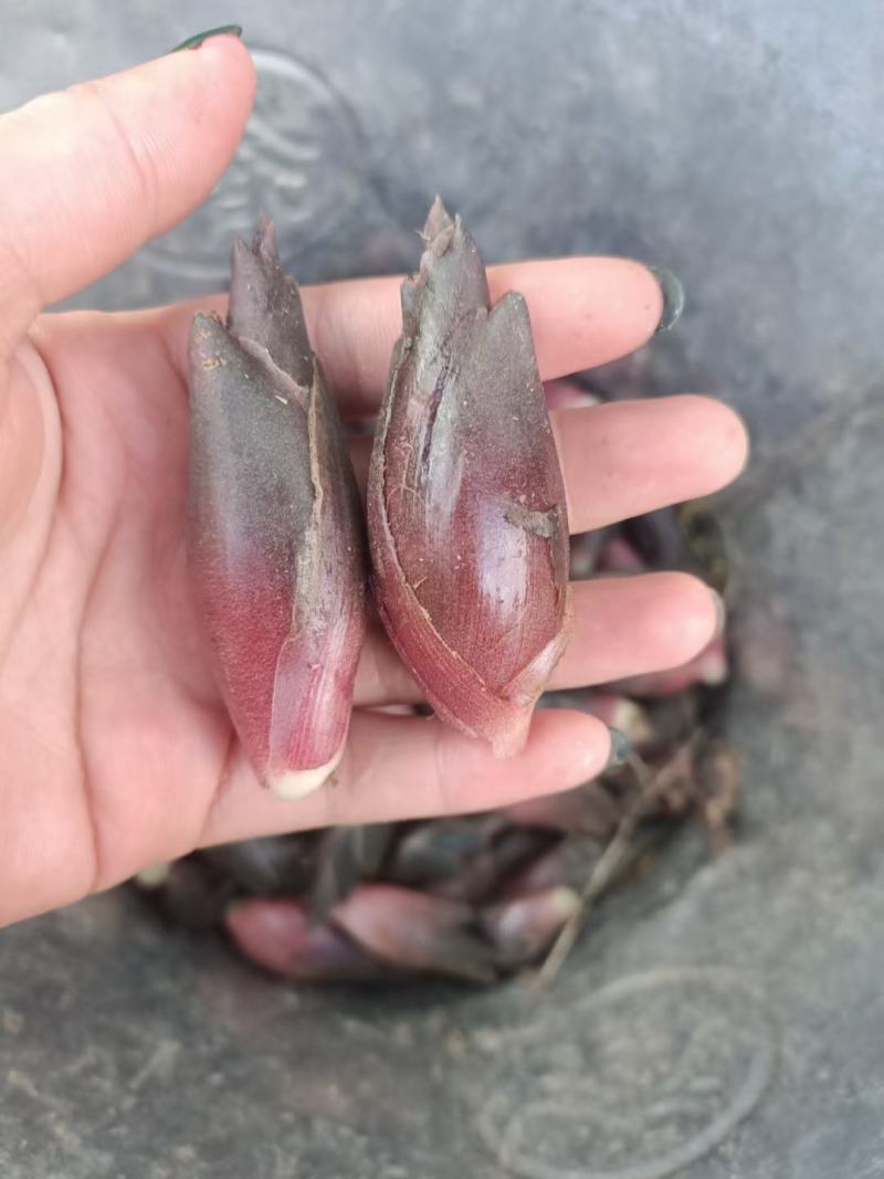 富硒阳荷