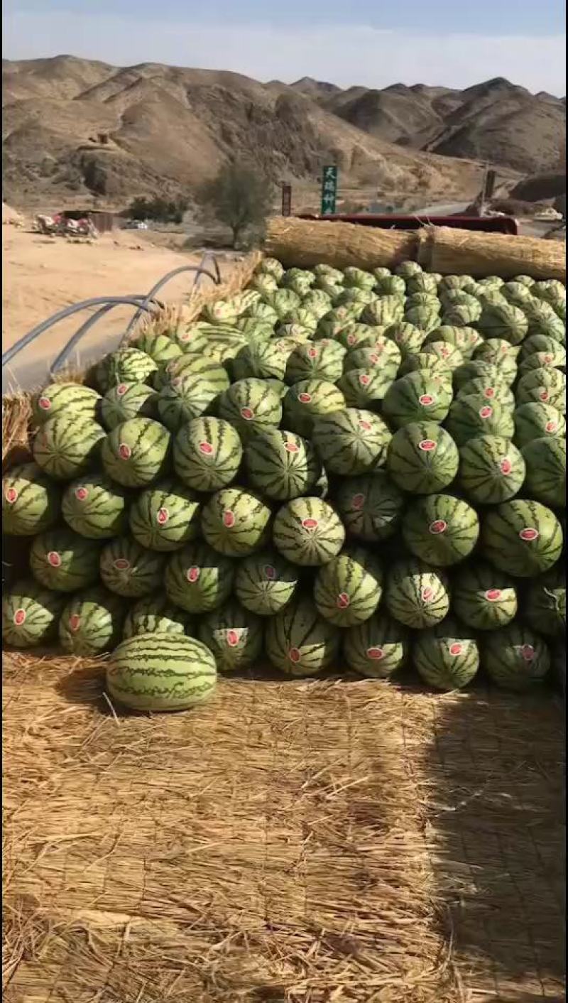 宁夏西瓜金花西瓜康乐6号石缝瓜石头瓜大量上市