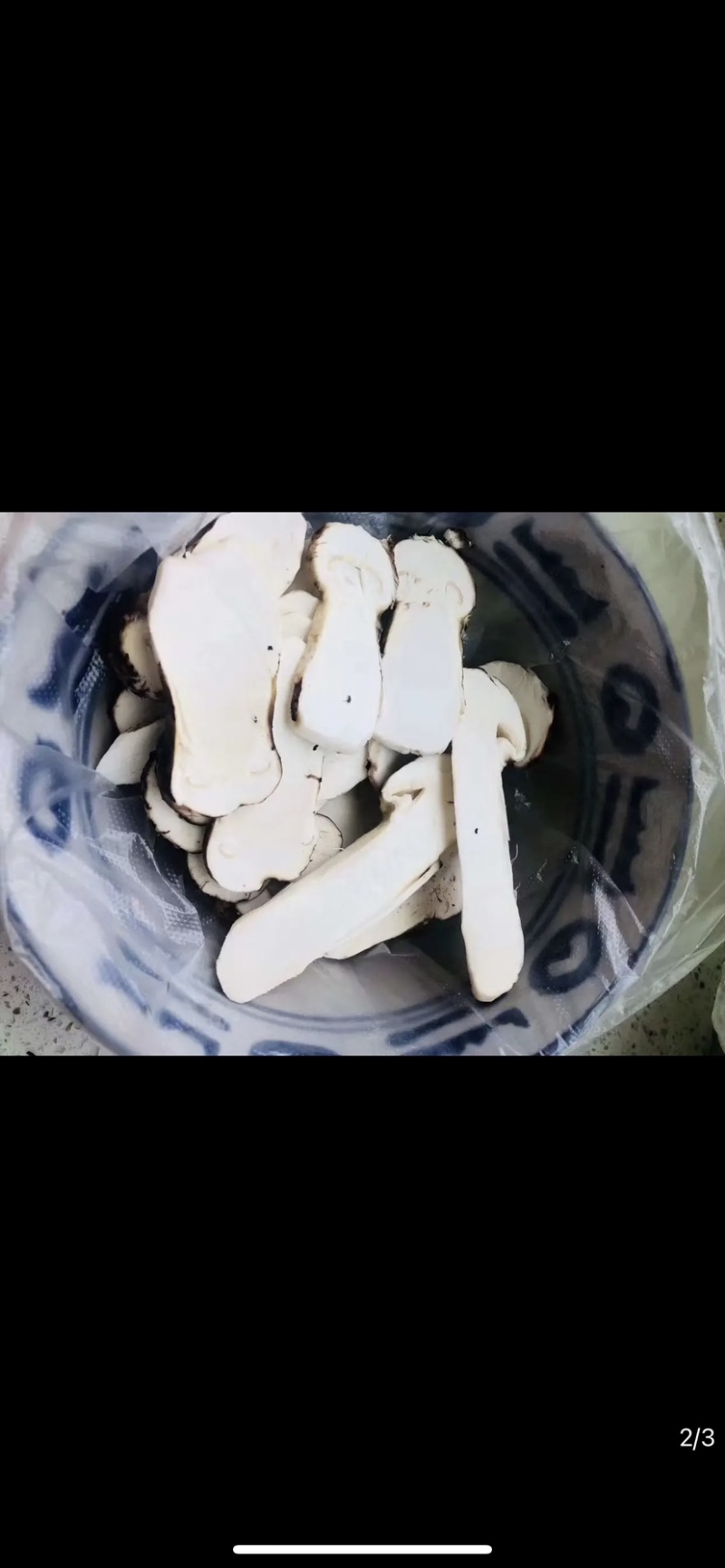 2023年新鲜松茸批发可视频