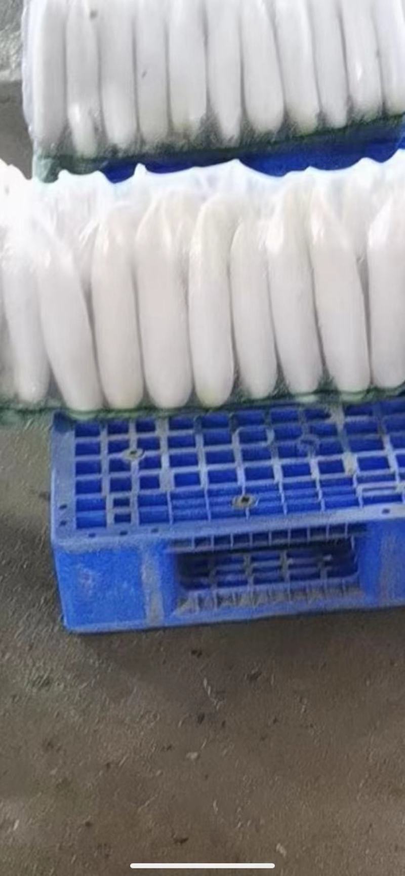 精品白萝卜合作社直发质量可靠诚信为本是您看货欢迎下单