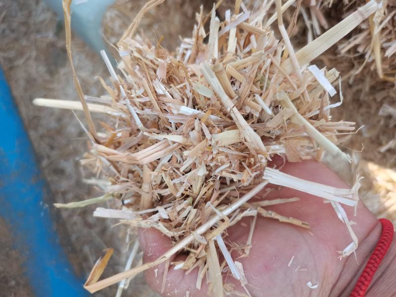 一级小麦秸秆牛羊干草料，70斤压块小包