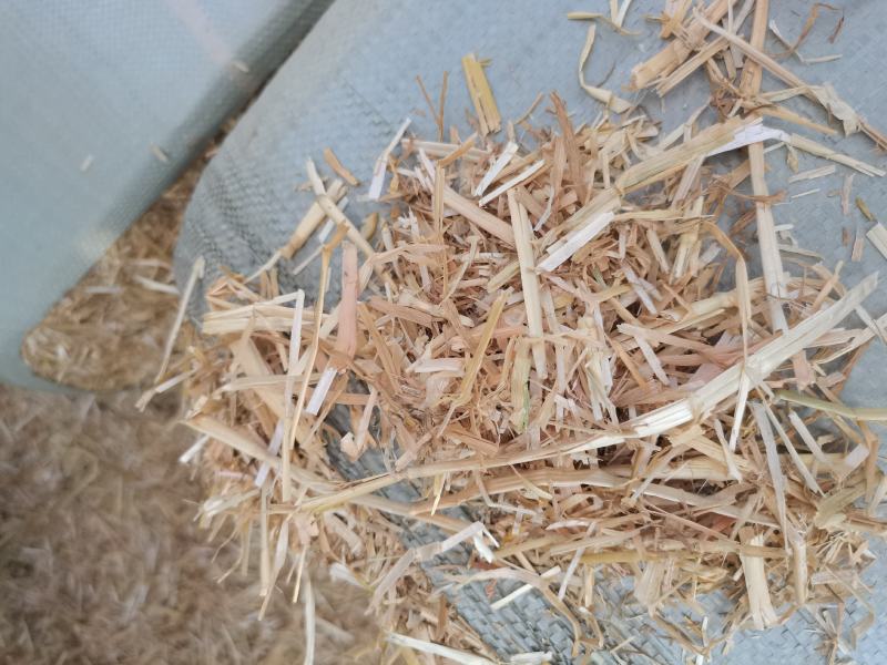 一级小麦秸秆牛羊干草料，70斤压块小包