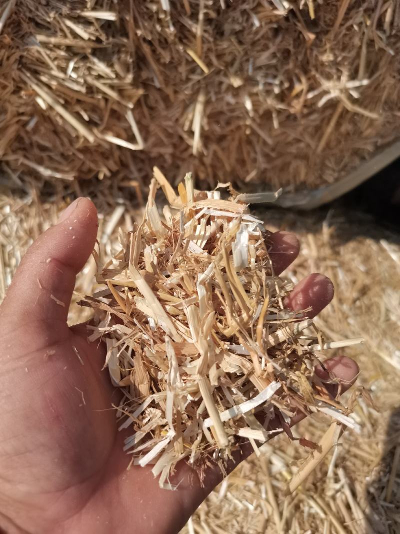 一级小麦秸秆牛羊干草料，70斤压块小包