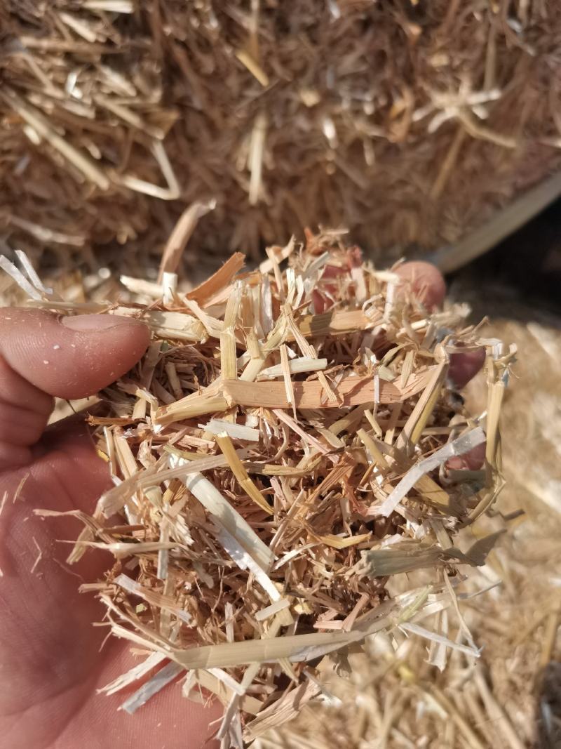 一级小麦秸秆牛羊干草料，70斤压块小包