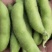 【精品】翠绿宝毛豆大毛豆支持冷库，量大优惠商超电商社区直供